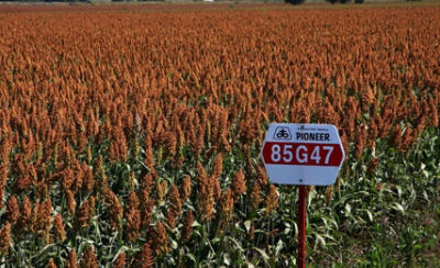 linea del tiempo imagenes 2023 Pioneer México